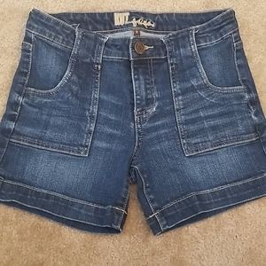 Kut From the Kloth Denim Shorts
